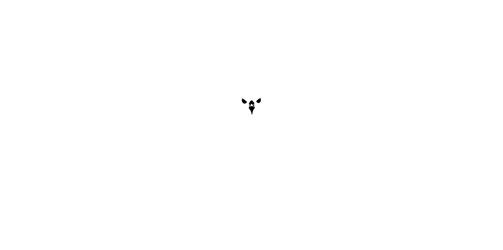 Hawk Gears